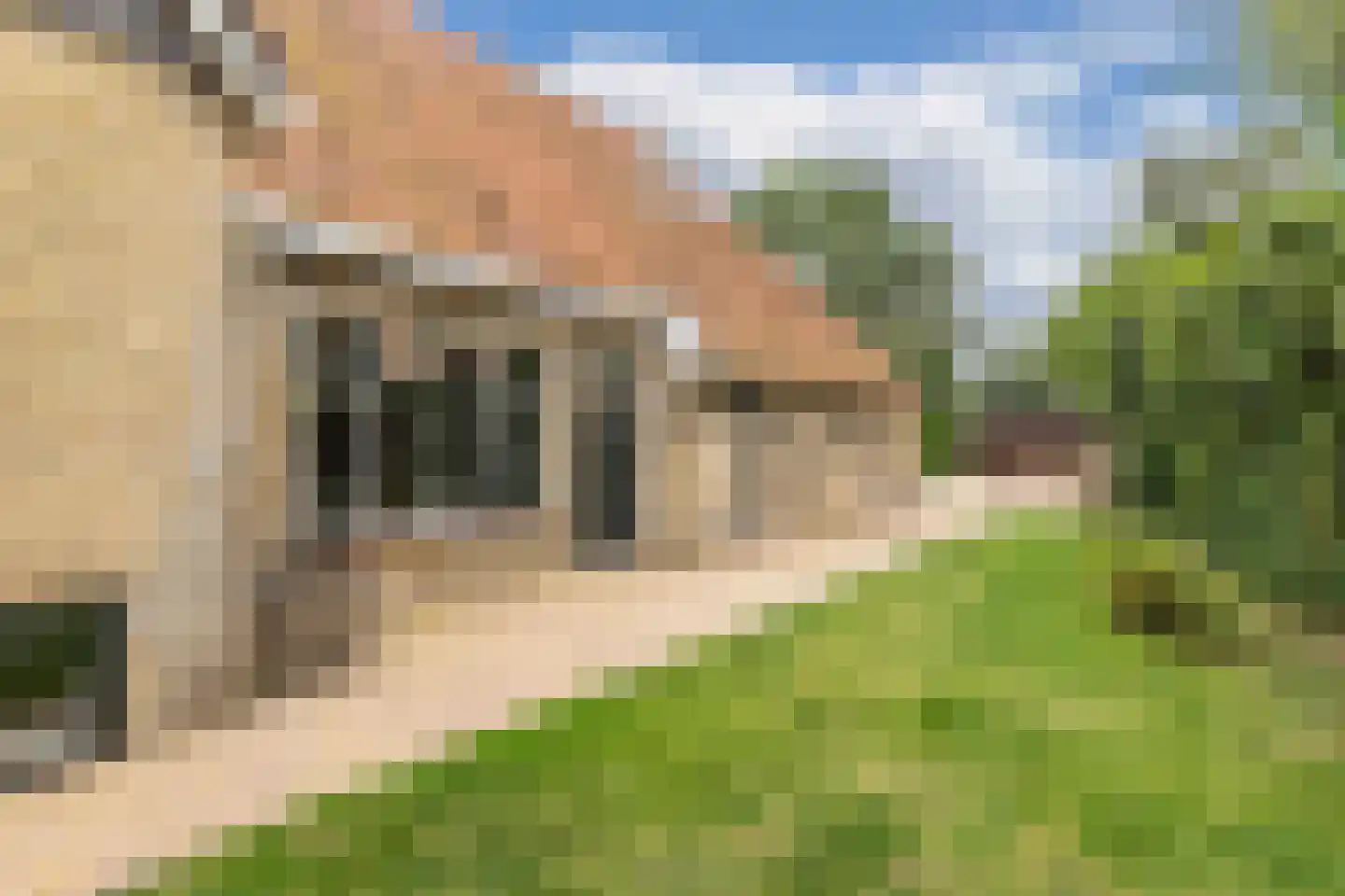 Elshoutbuurt 5 Lollum thumbnail 64