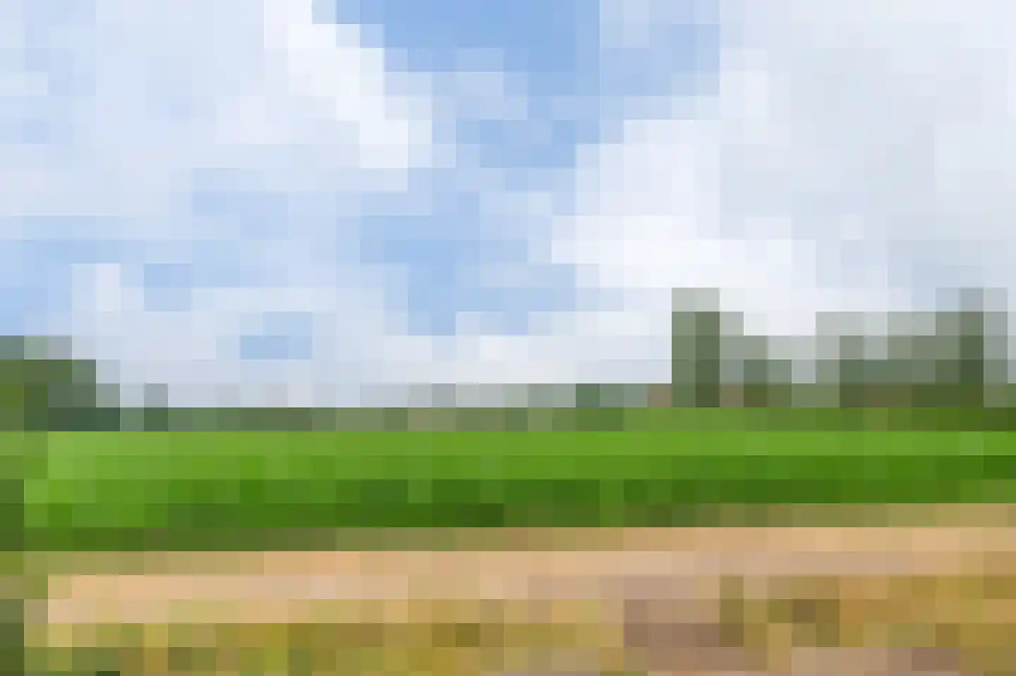 Elshouter 39 Waalre thumbnail 20