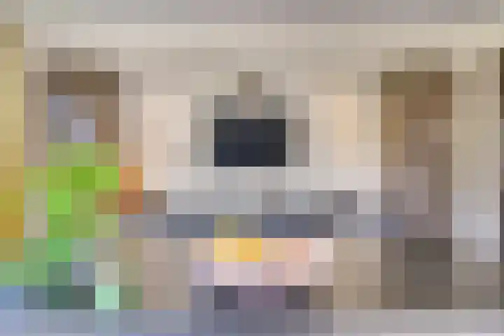 Elshouter 65 Waalre thumbnail 13