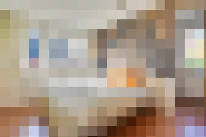 Elshouter 65 Waalre thumbnail 16
