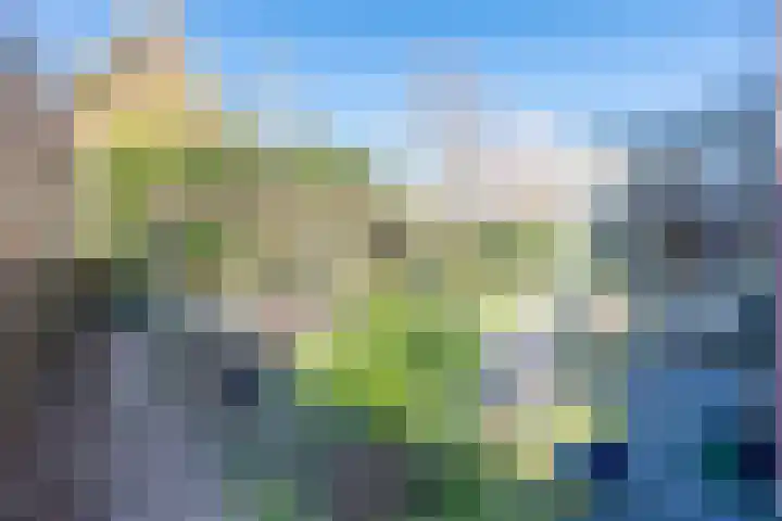 Elshouter 65 Waalre thumbnail 29