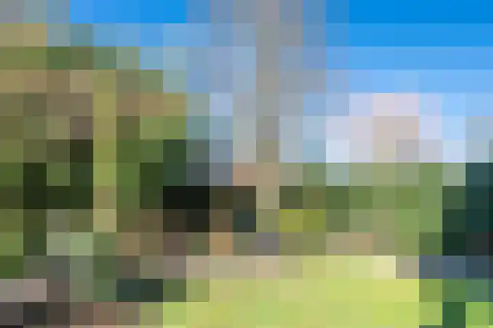 Elshouter 65 Waalre thumbnail 30