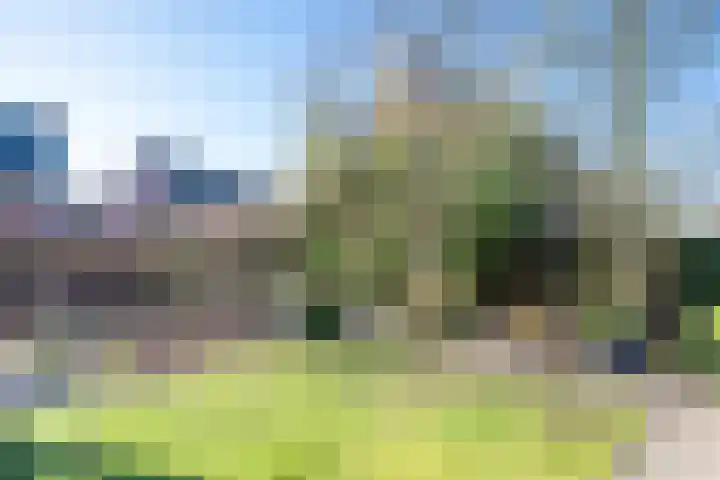 Elshouter 65 Waalre thumbnail 31