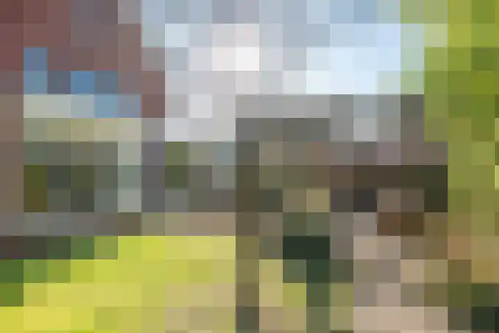 Elshouter 65 Waalre thumbnail 32