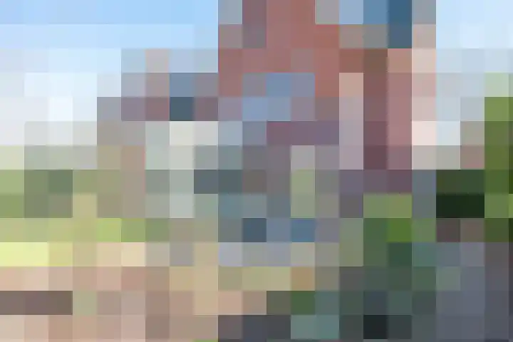 Elshouter 65 Waalre thumbnail 33