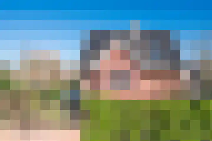 Elshouter 65 Waalre thumbnail 35