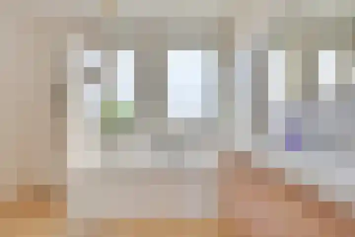 Elshouter 65 Waalre thumbnail 4