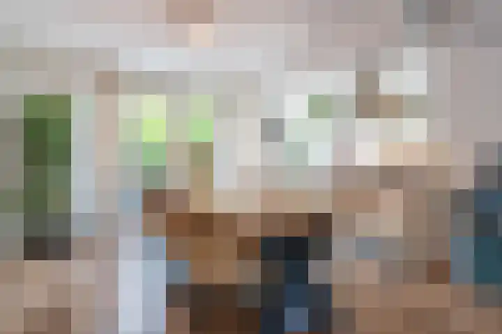 Elshouter 67 Waalre thumbnail 18