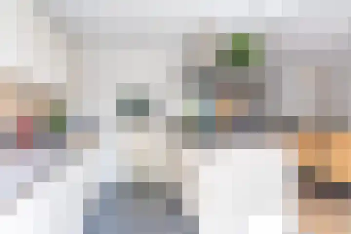 Elshouter 67 Waalre thumbnail 21