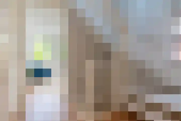 Elshouter 67 Waalre thumbnail 23