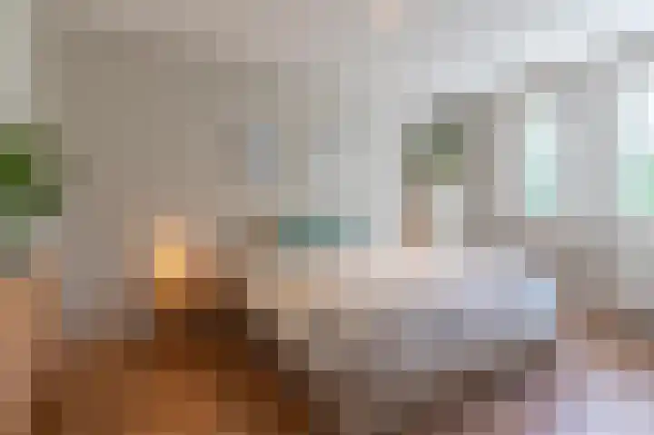 Elshouter 67 Waalre thumbnail 24