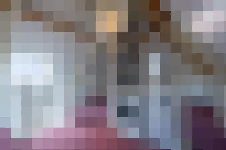 Elshouter 67 Waalre thumbnail 30
