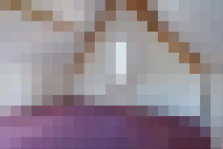 Elshouter 67 Waalre thumbnail 31