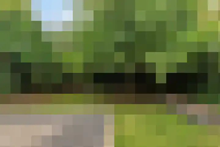 Elshouter 67 Waalre thumbnail 34
