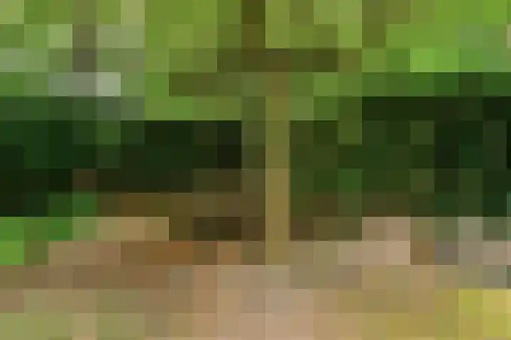 Elshouter 67 Waalre thumbnail 35