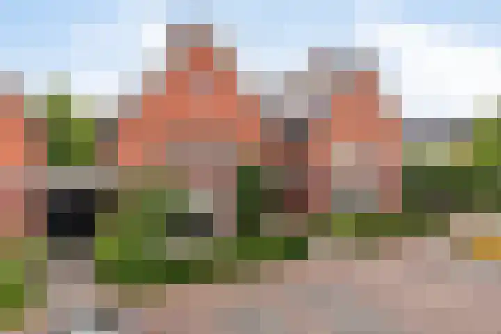Elshouter 67 Waalre thumbnail 37