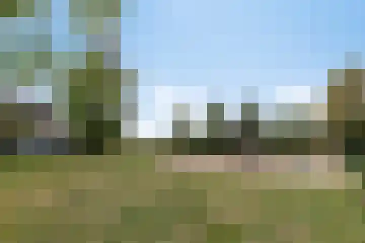 Elshouter 67 Waalre thumbnail 38