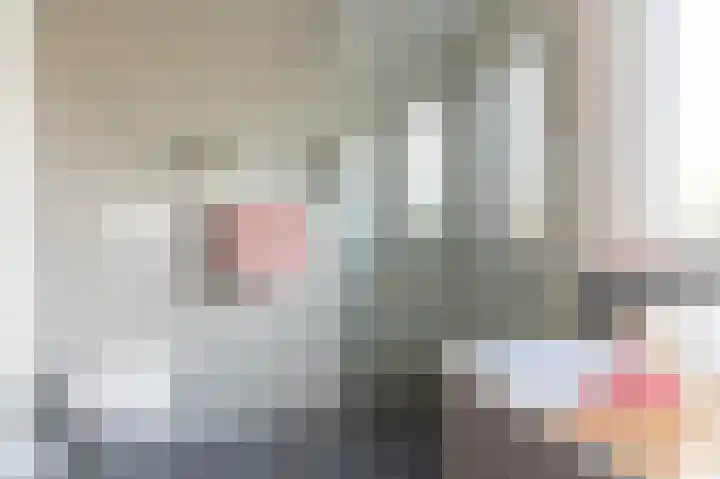 Elshouter 67 Waalre thumbnail 5
