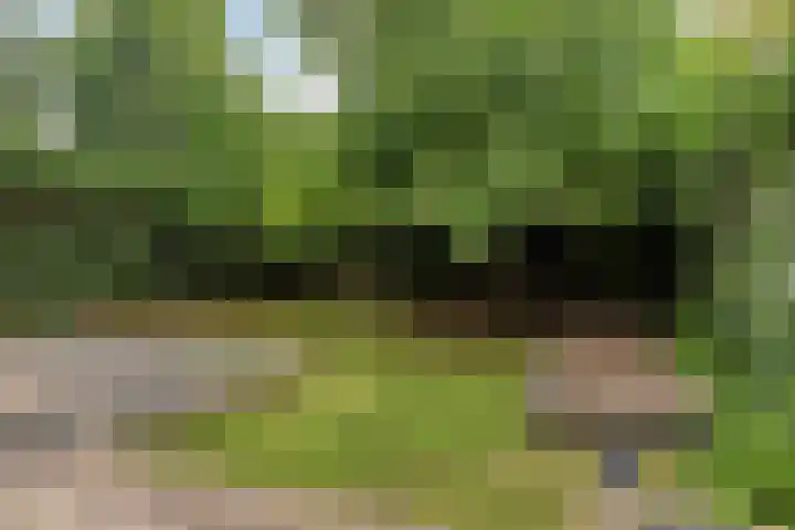 Elshouter 67 Waalre thumbnail 6