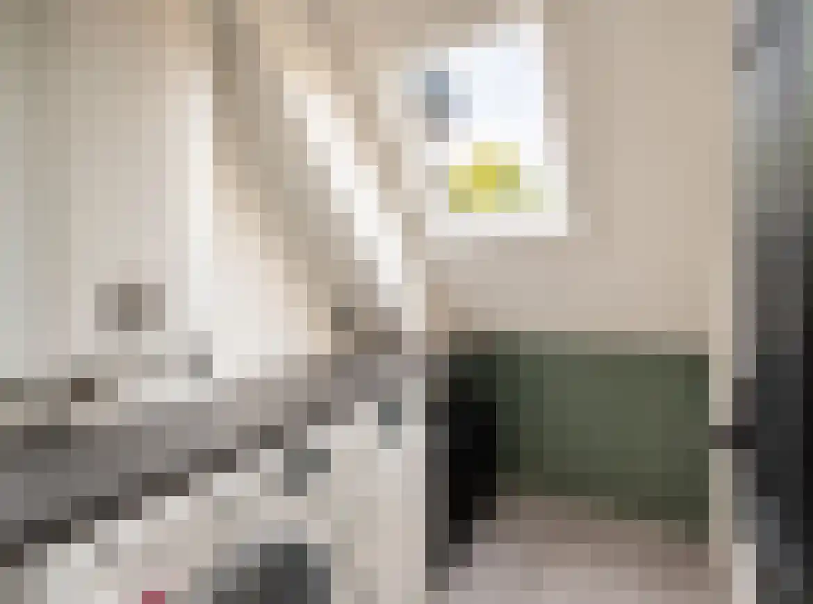 Elshoutlaan 30 Paterswolde thumbnail 13