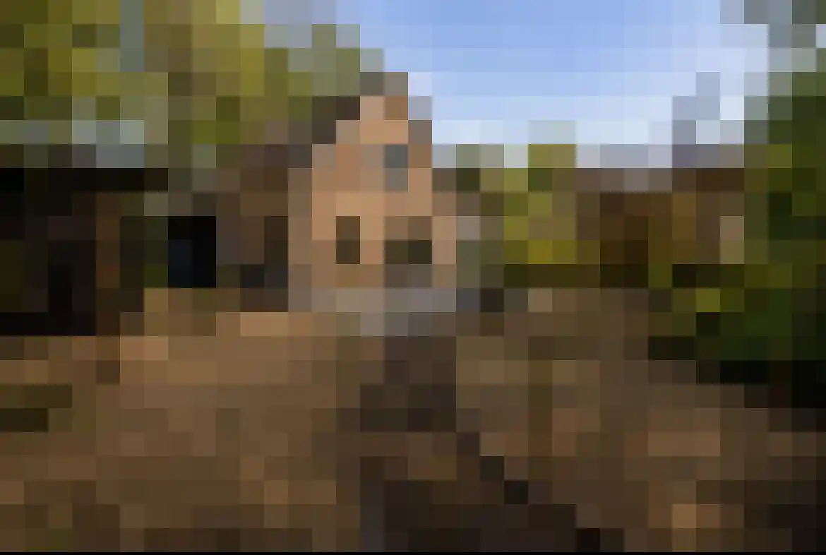 Elshoutlaan 30 Paterswolde thumbnail 17