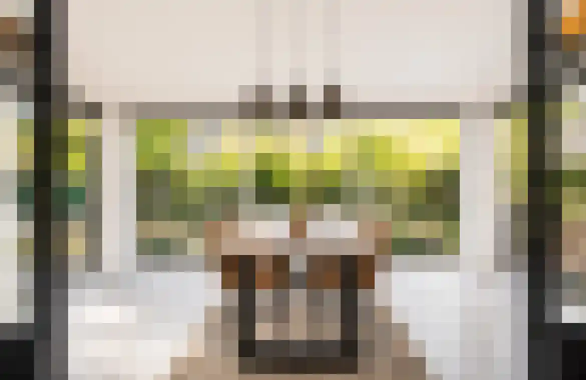 Elshoutlaan 30 Paterswolde thumbnail 7