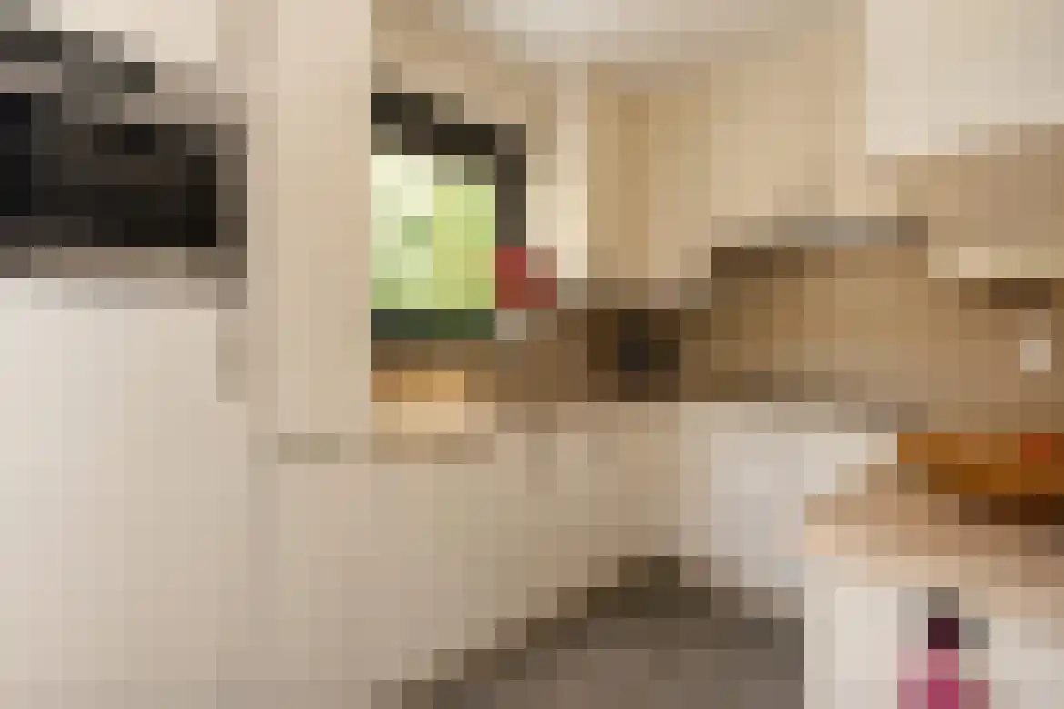 Elshoutlaan 30 Paterswolde thumbnail 8
