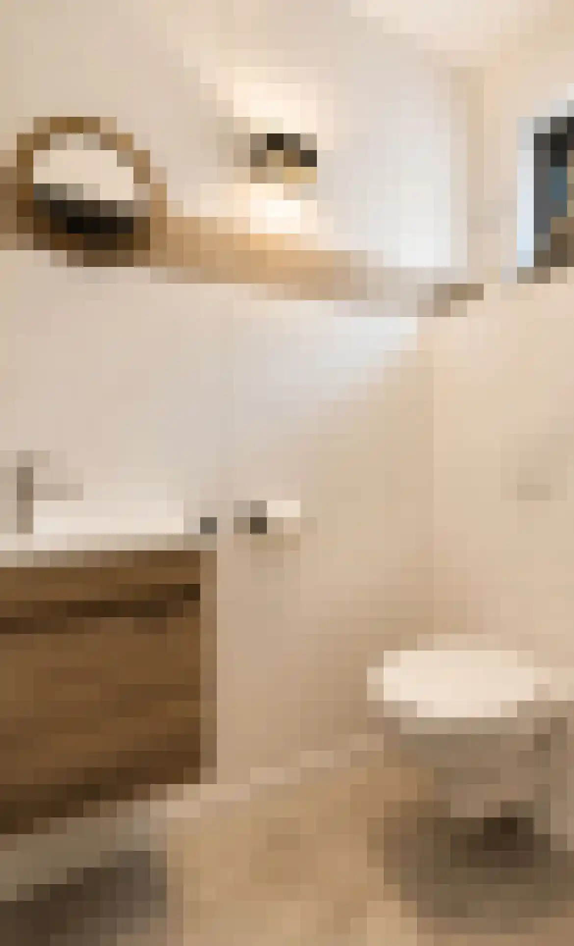 Elshoutlaan 30 Paterswolde thumbnail 9