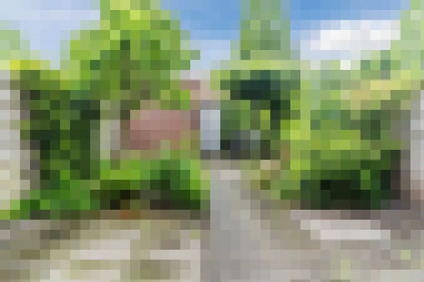 Elsje van Houweningenstraat 38 Gorinchem thumbnail 12