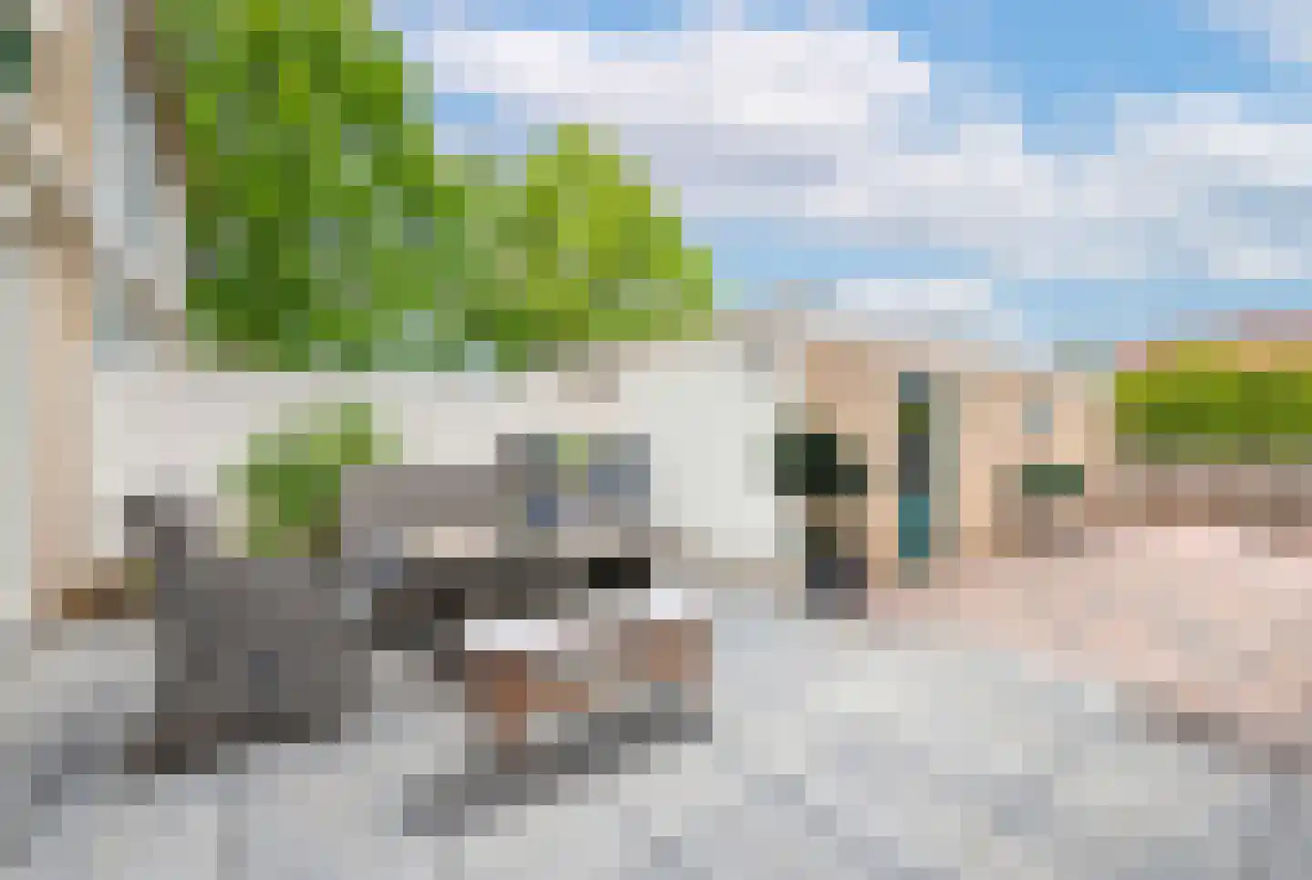 Elsje van Houweningepad 2 Sleeuwijk thumbnail 15