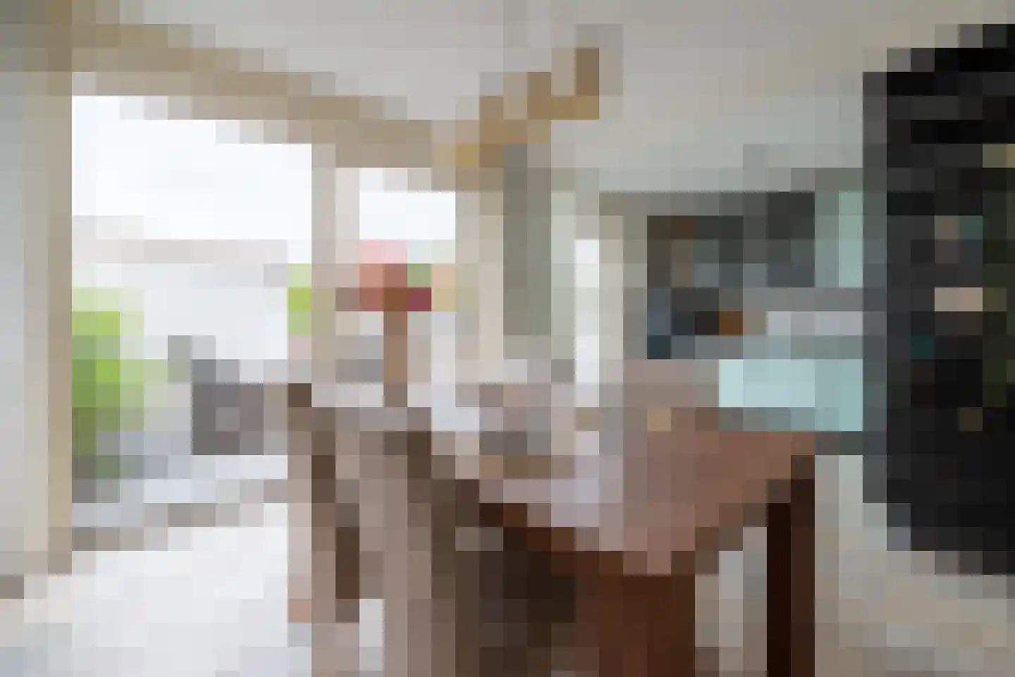 Elsje van Houweningepad 2 Sleeuwijk thumbnail 8