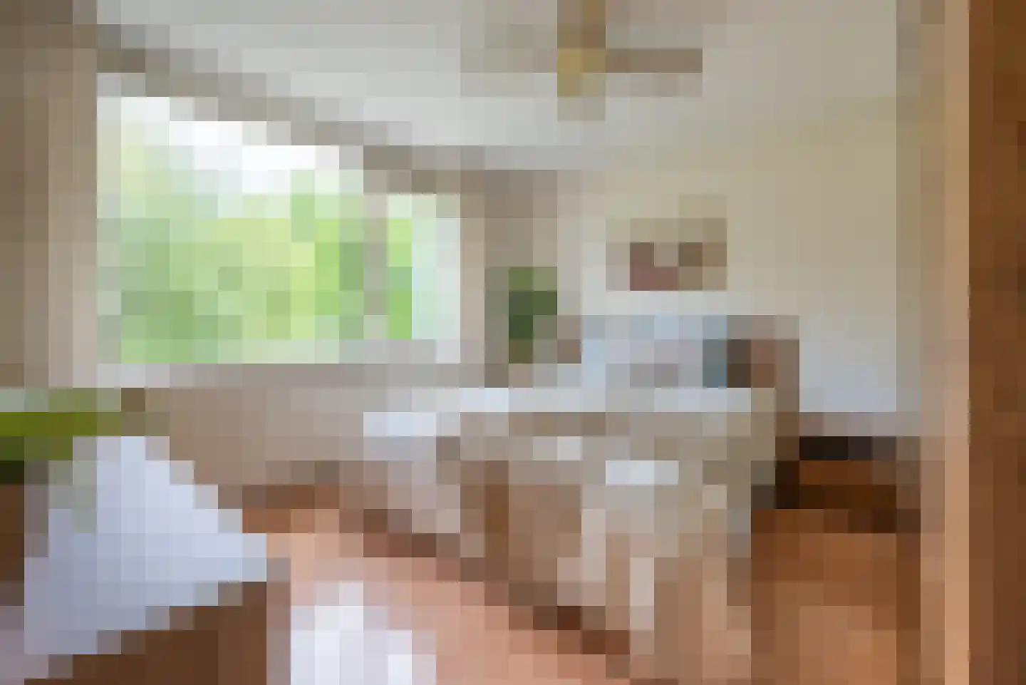 Elsje van Houweningepad 2 Sleeuwijk thumbnail 9