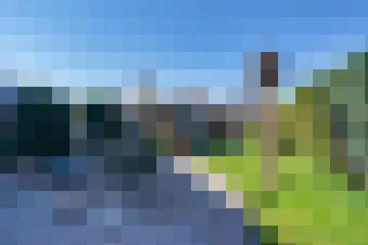 Elsje van Houweningepad 6 Sleeuwijk thumbnail 19