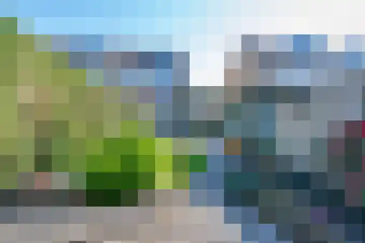 Elsje van Houweningepad 6 Sleeuwijk thumbnail 22