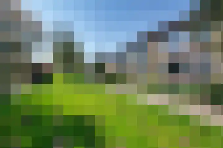 Elsje van Houweningepad 6 Sleeuwijk thumbnail 24