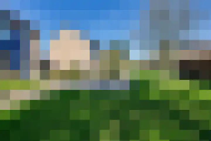 Elsje van Houweningepad 6 Sleeuwijk thumbnail 25