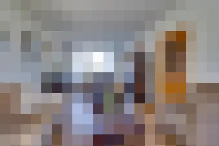 Elsje van Houweningepad 6 Sleeuwijk thumbnail 4