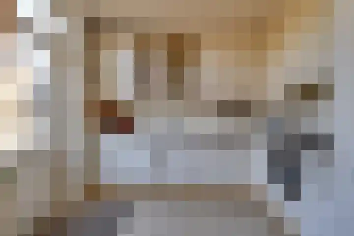 Elsje van Houweningepad 6 Sleeuwijk thumbnail 6
