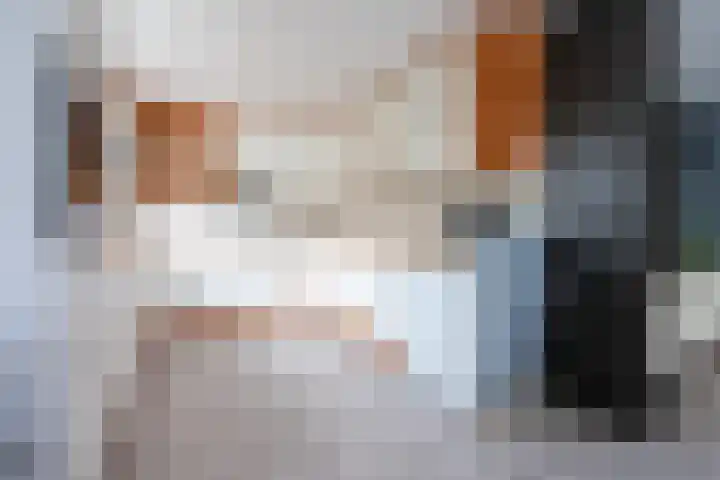 Elskamp 20 Odijk thumbnail 11