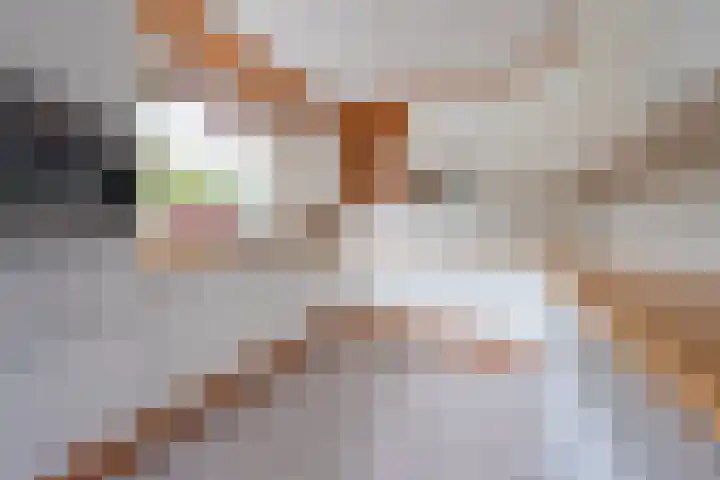 Elskamp 20 Odijk thumbnail 12