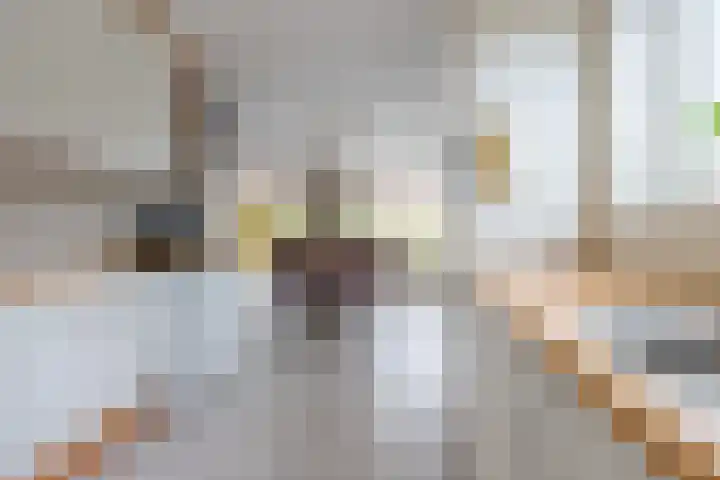 Elskamp 20 Odijk thumbnail 13
