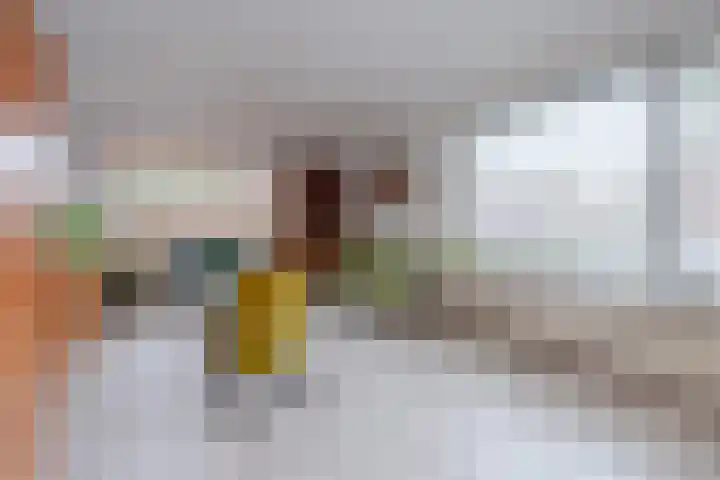 Elskamp 20 Odijk thumbnail 20