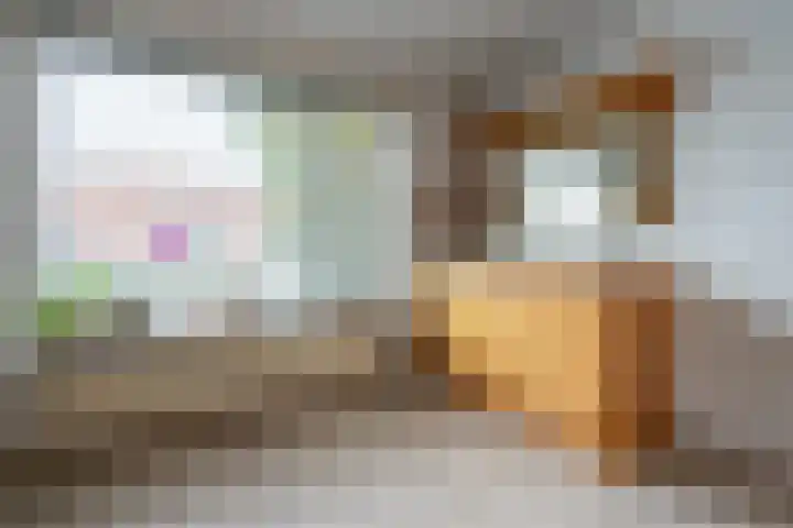 Elskamp 20 Odijk thumbnail 22