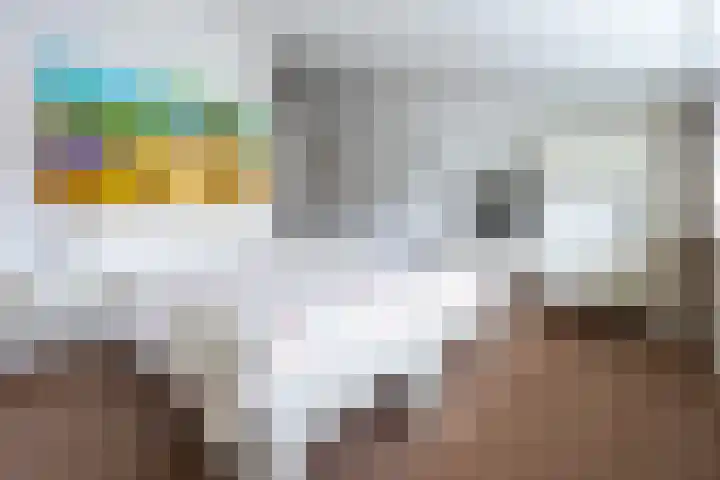 Elskamp 20 Odijk thumbnail 26