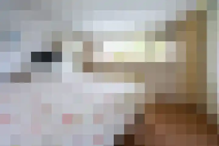 Elskamp 20 Odijk thumbnail 27