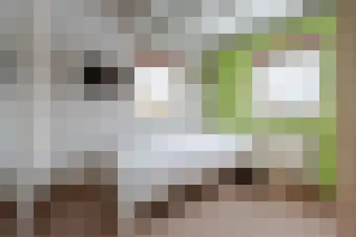 Elskamp 20 Odijk thumbnail 29