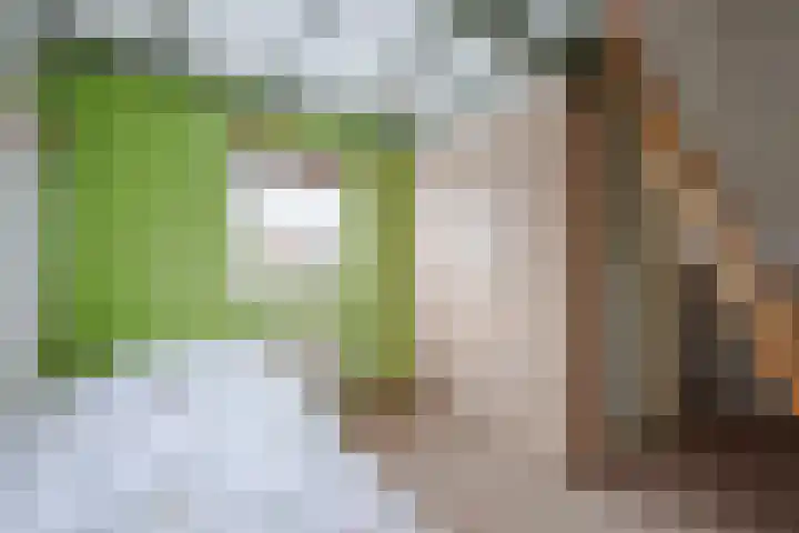 Elskamp 20 Odijk thumbnail 30