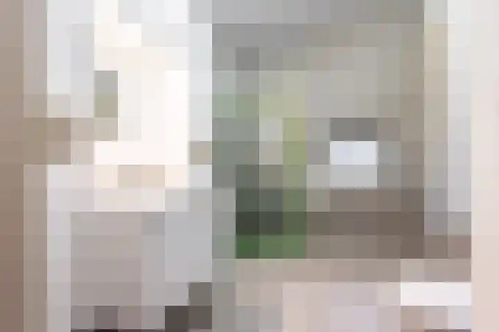 Elskamp 20 Odijk thumbnail 32