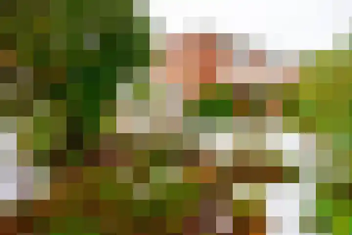 Elskamp 20 Odijk thumbnail 34