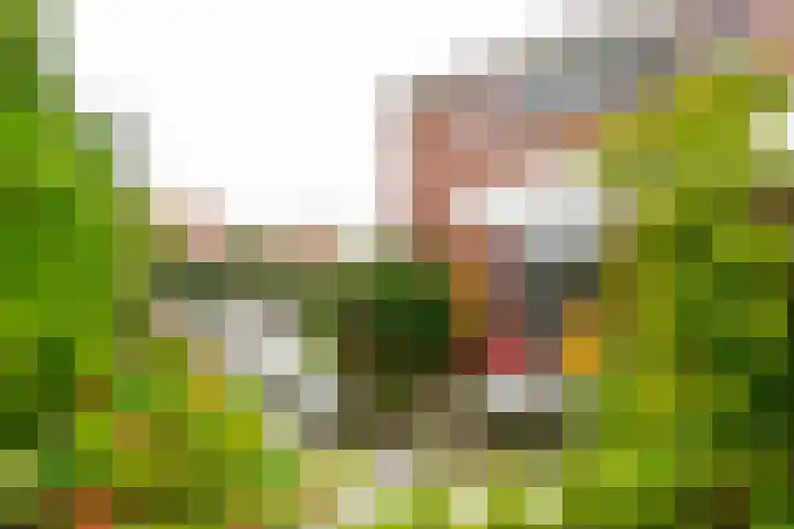 Elskamp 20 Odijk thumbnail 35